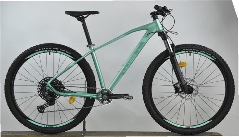 Dviratis kalnų, 29 ", 15" rėmas, žalia sp.