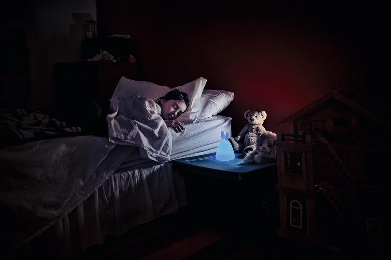 Stalinis šviestuvas Ledvance NIGHTLUX RABBIT 4058075602113
