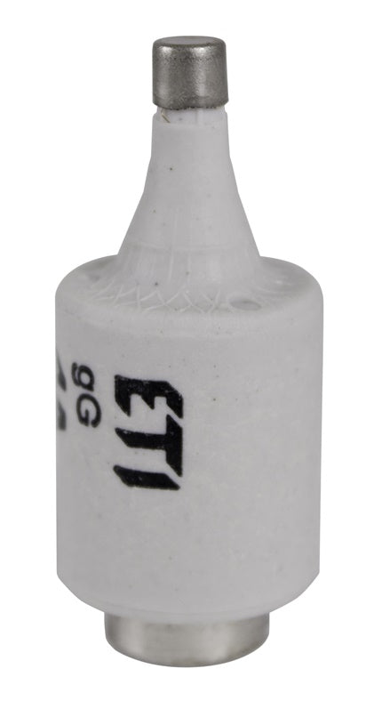 Lydusis saugiklis DII/GG, 25A, E-27, 5 vnt.