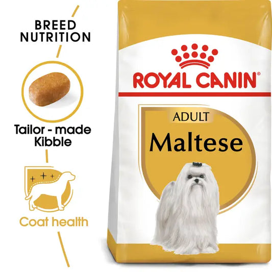 Maltese Adult sausas pašaras šuniui