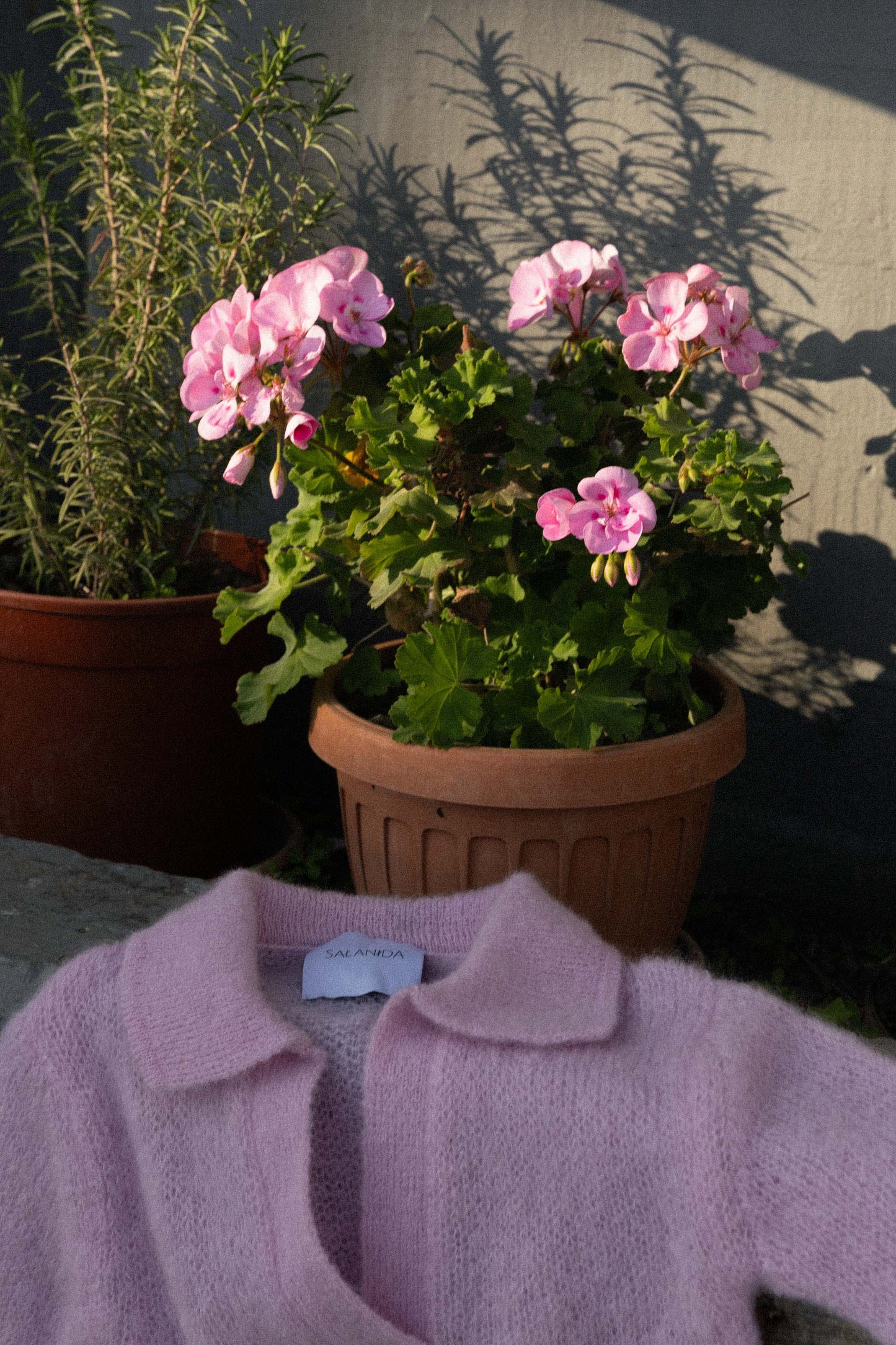 Melody Mohair Poloshirt Rosa