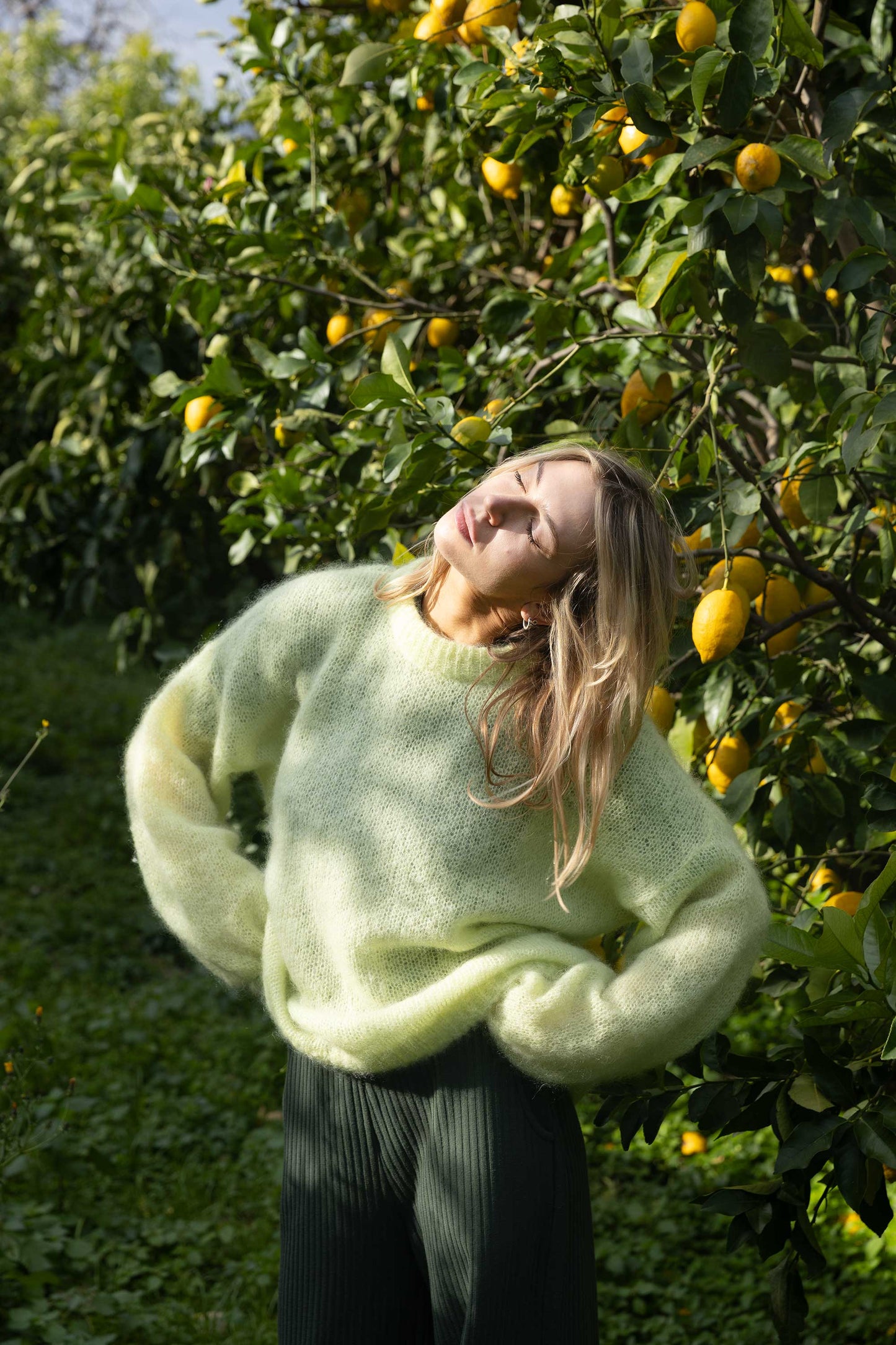 Melody Mohair Pullover Zitrone