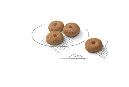 Mini Sterilised sausas pašaras šuniui