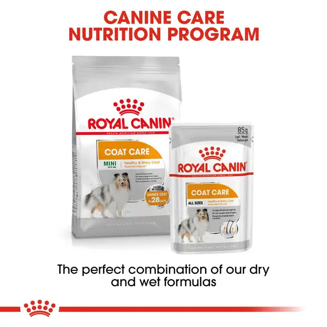 Royal Canin Coat Care Pasztet