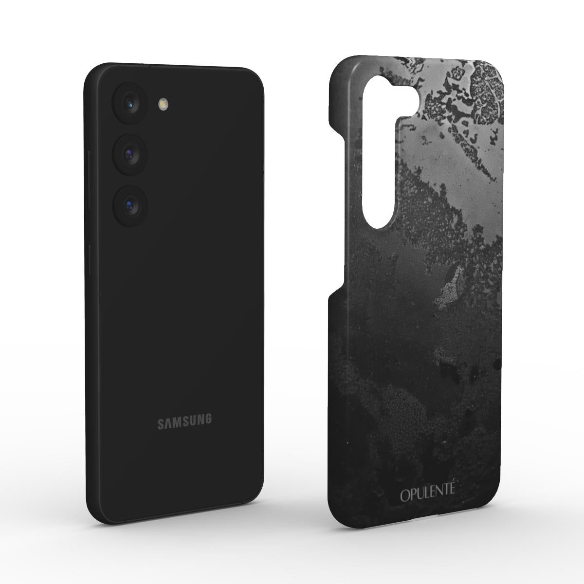 Silberriff - Schnappschuss