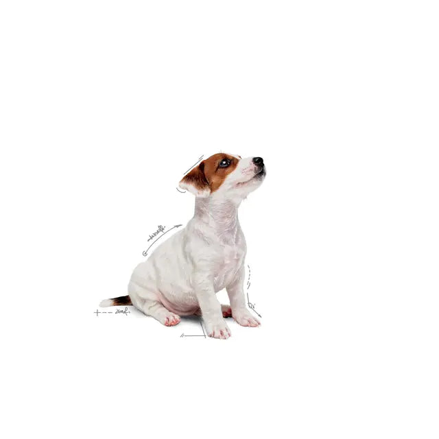 ROYAL CANIN Mini Puppy Chunks In Gravy - Wet Food for Small Breed Puppies 4x85g