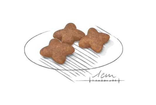 Royal Canin MINI Adult dry dog food