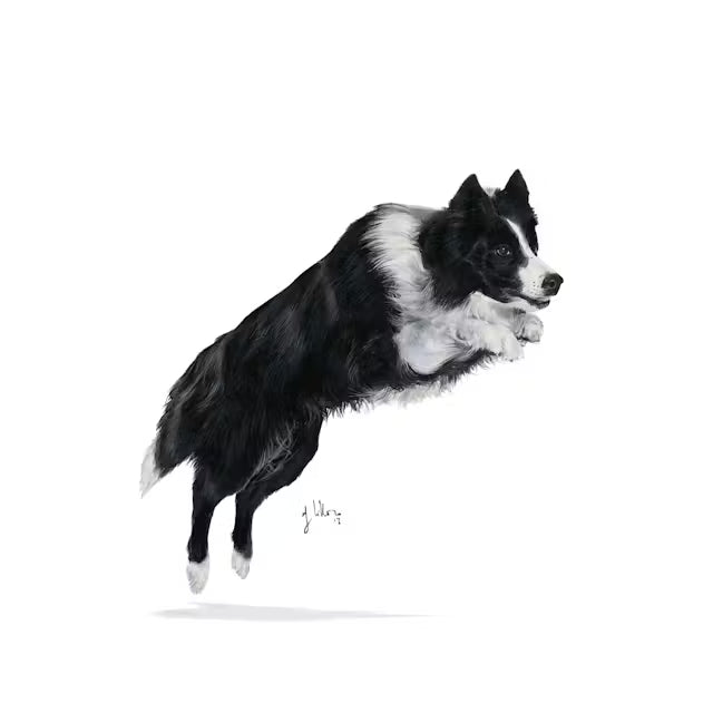 SPORTING LIFE AGILITY 4100 L dry dog food