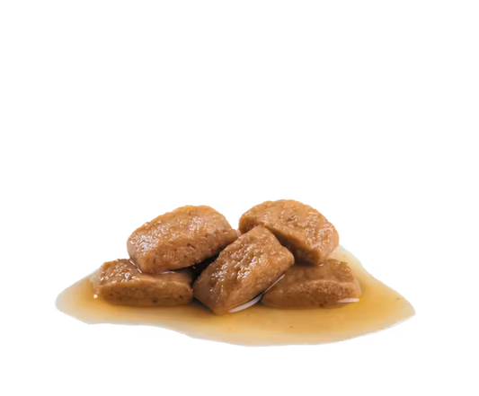 ROYAL CANIN Maxi Ageing 8+ Gravy - Drėgnas Pašaras Dideliems Vyresnio Amžiaus Šunims
