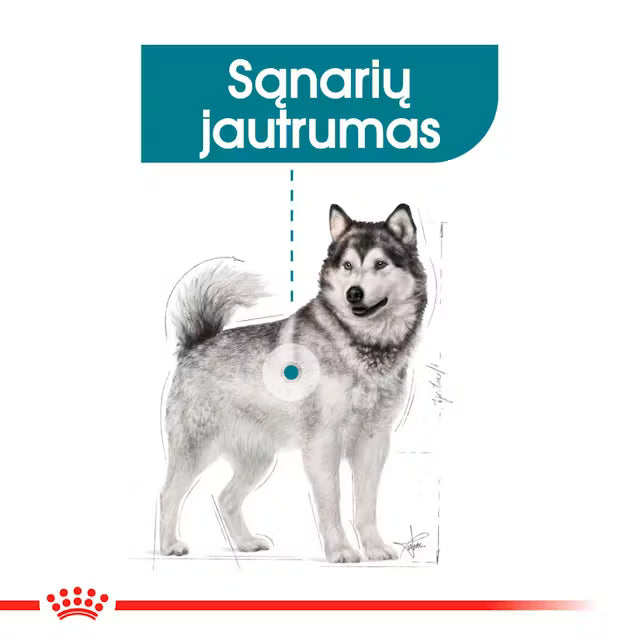 MAXI JOINT CARE dry dog food