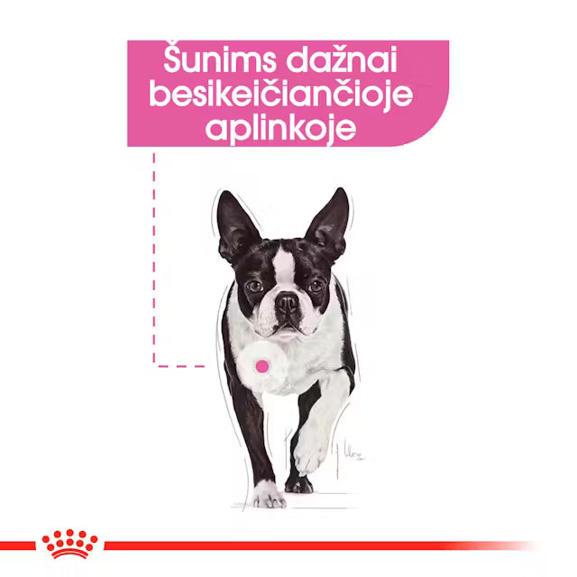 Relax Care wet dog food