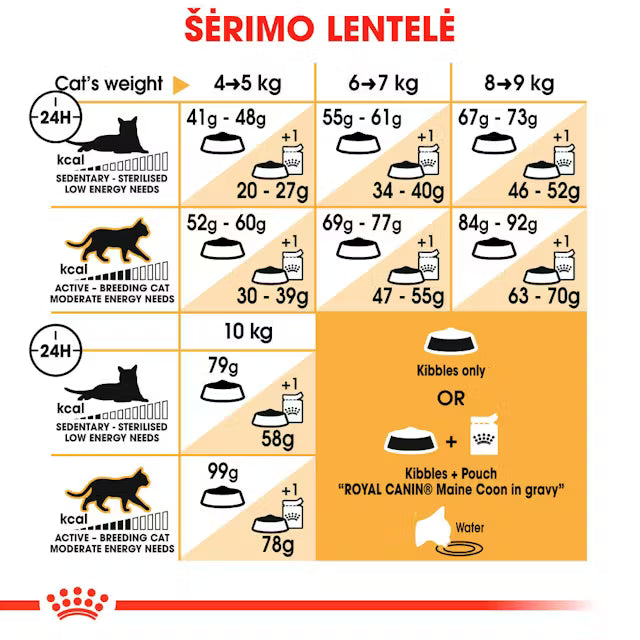 Maine Coon Adult dry cat food