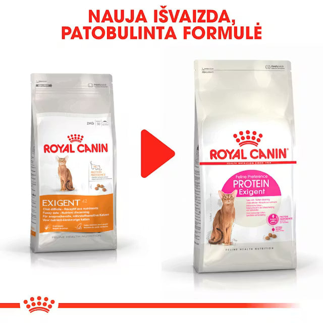 Protein Exigent sausas pašaras katei