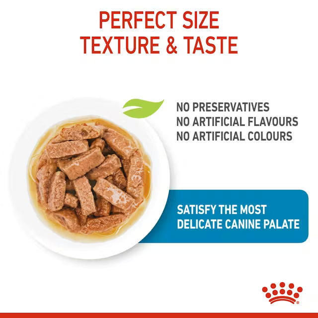 ROYAL CANIN Maxi Puppy Chunks In Gravy - Wet Food for Large Breed Puppies 10x140g