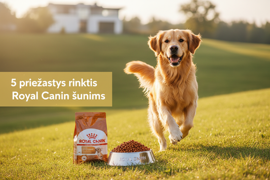 5 priežastys, kodėl veterinarai rekomenduoja Royal Canin šunims
