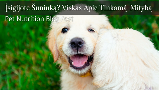 Įsigijote Šuniuką? Viskas Apie Tinkamą Mitybą ir Royal Canin Pranašumus