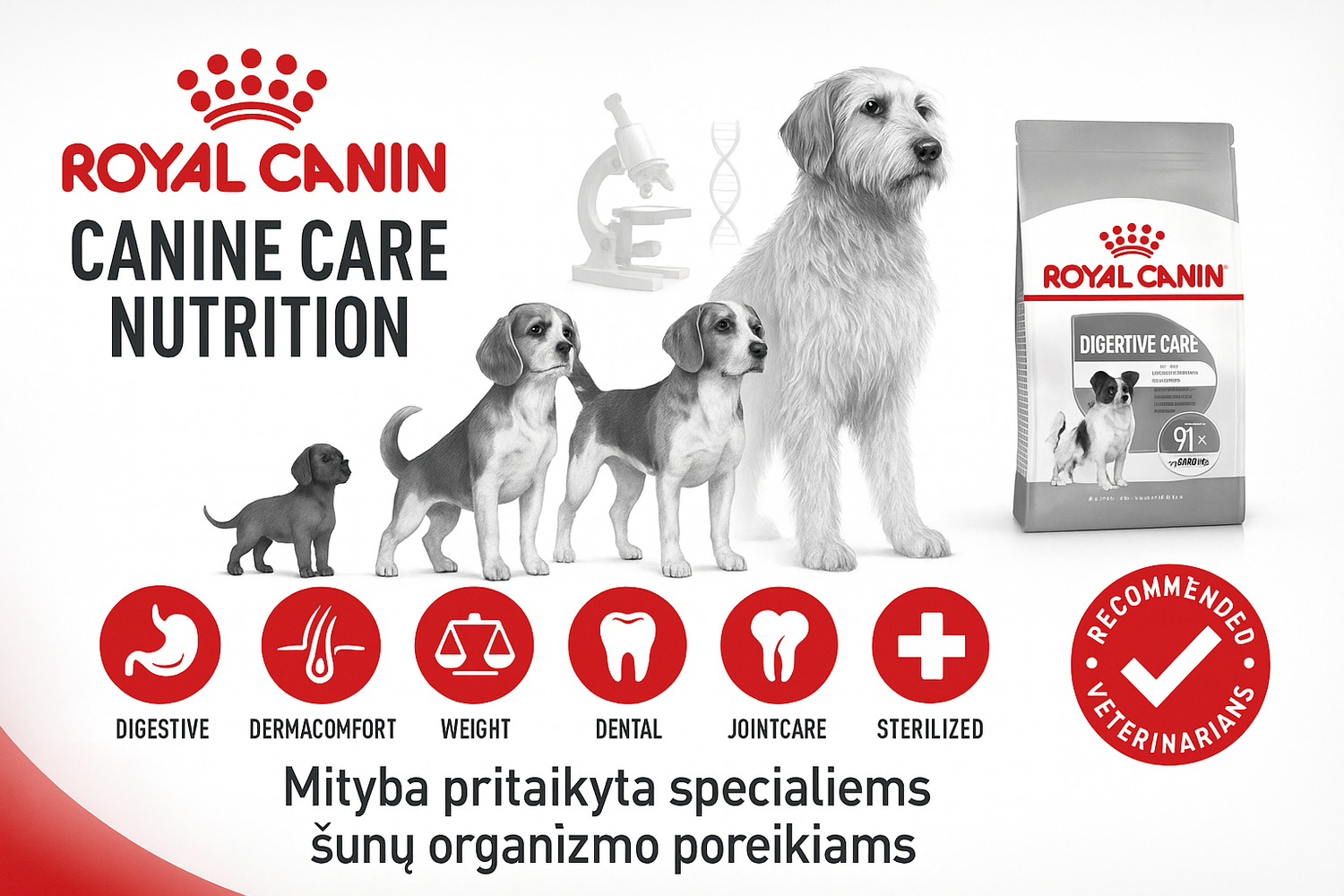 💊 Royal Canin CANINE CARE NUTRITION- Mityba pritaikyta specialiems šunų organizmo poreikiams (sausi pašarai ir konservai)