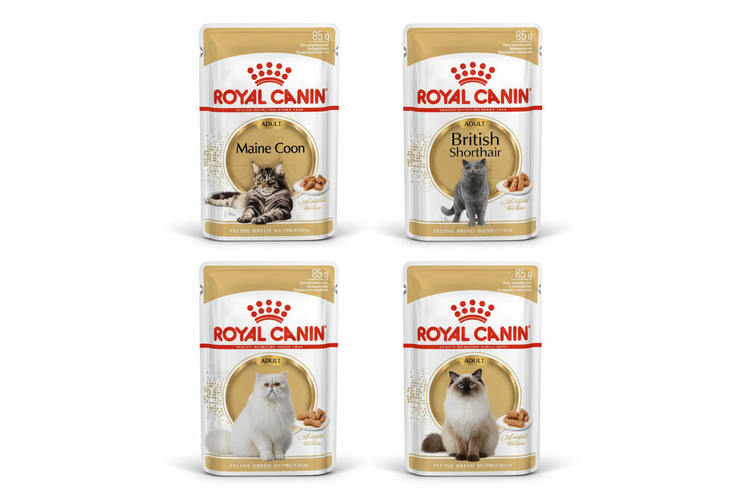 Royal Canin Feline Breed Nutrition WET