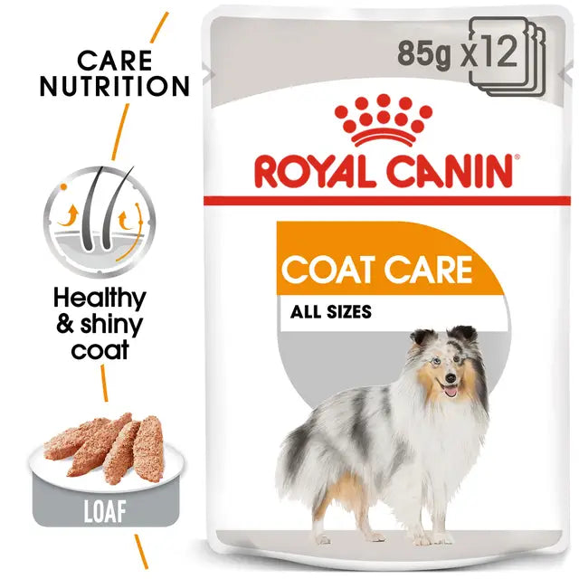 Royal Canin Coat Care Pasztet