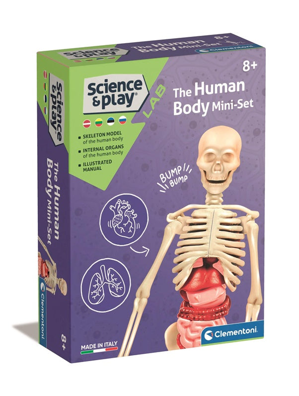 Zabawka edukacyjna Clementoni The Human Body Mini-Set 50824