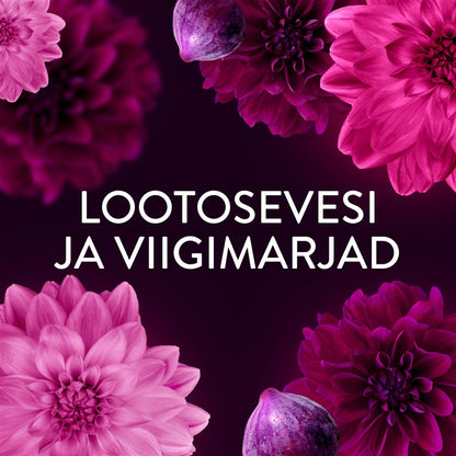Audinių minkštiklis Lenor Diamond Figs & Lotus Flower 1.974l