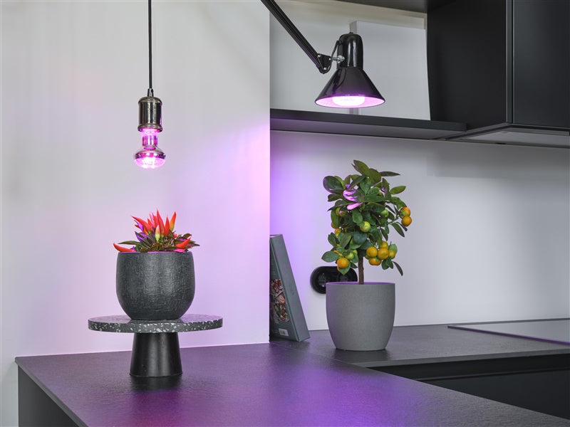 Lampa LED do roślin 1300K E27 7.5W 140lm
