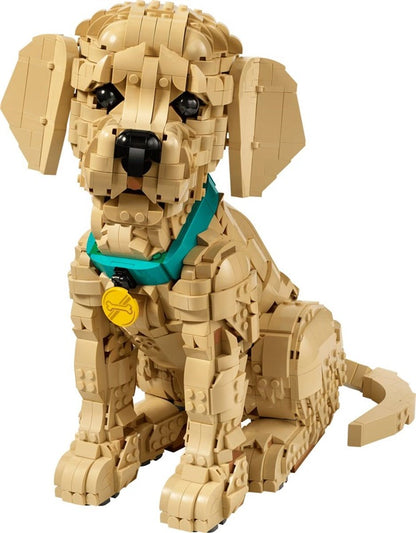 Konstruktorius LEGO® Icons Auksaspalvių šun 11384, 2102 vnt.