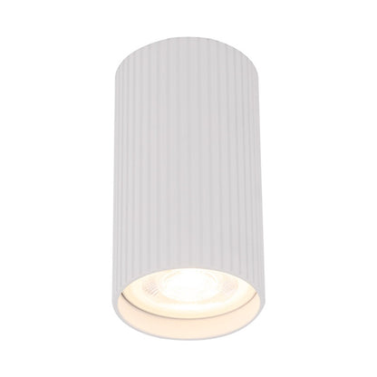 Šviestuvas lubų TK Lighting Tune 10023, GU10, baltas