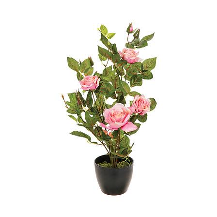 Dirbtinis augalas vazone, įvairių spalvų, 50 cm