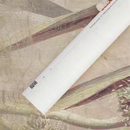 TAPET FOTO 350X250CM DRAGONFLY PON