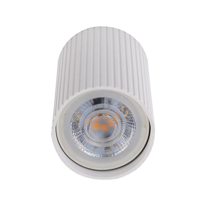 Šviestuvas lubų TK Lighting Tune 10023, GU10, baltas