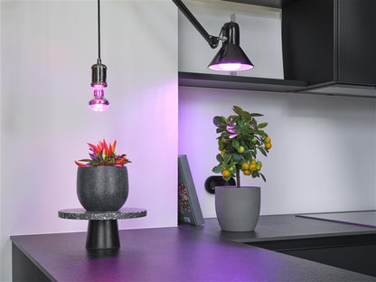Lemputė LED Osram E27 20W 650lm