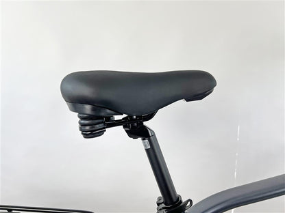 Elektrinis dviratis Succhi, 54 cm, 28", 250 W