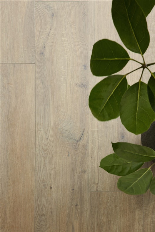 Laminatas padidinto atsparumo drėgmei Ocean XL B1124