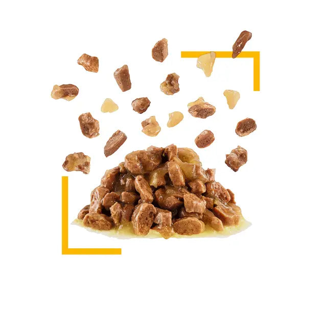 ROYAL CANIN Sensory Taste Kawałki w galaretce - Mokra karma dla dorosłych kotów 12x85g