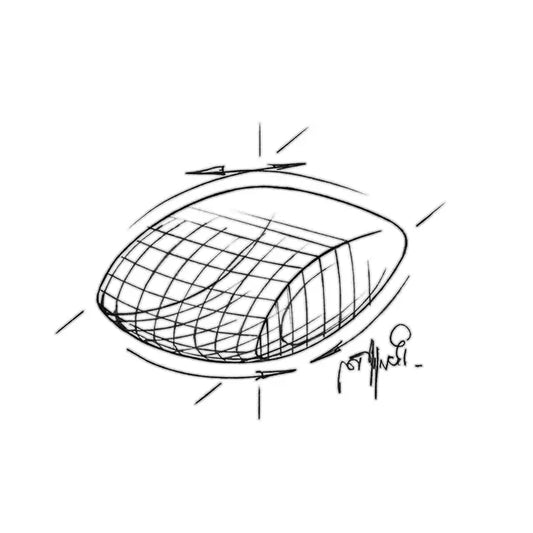 Royal Canin Feline Care Nutrition Dental Care 8 kg – Großpackung für ausgewachsene Katzen zur Zahn- und Mundhygiene