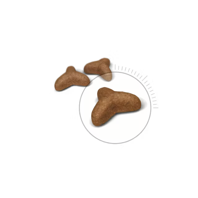 Royal Canin Feline Care Nutrition Light Weight Care 8 kg – Großpackung für ausgewachsene Katzen zur Gewichtskontrolle