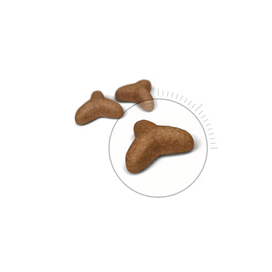 Royal Canin Feline Care Nutrition Light Weight Care 8 kg – Großpackung für ausgewachsene Katzen zur Gewichtskontrolle