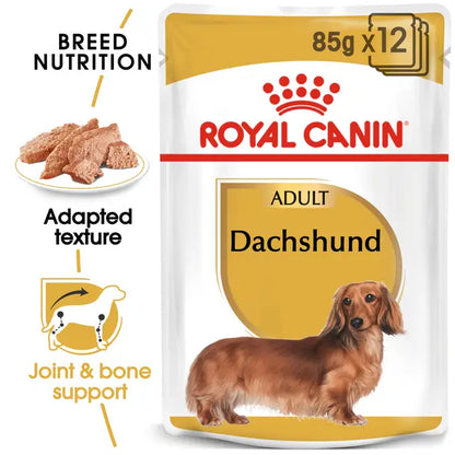Dachshund wet dog food