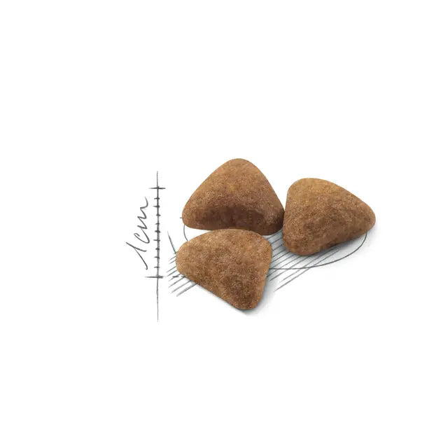 Royal Canin Feline Health Nutrition Indoor 27 10kg - Sausas maistas viduje gyvenančioms katėms