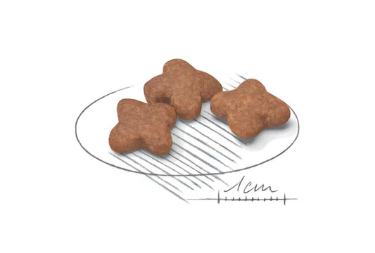 Royal Canin Mini Adult 8+ dry dog ​​food - For mature small breed dogs