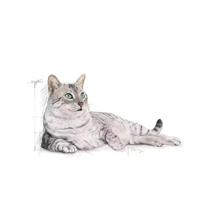 Royal Canin Feline Health Nutrition Indoor Appetite Control 2kg - Sausas maistas viduje gyvenančioms katėms apetito kontrolei