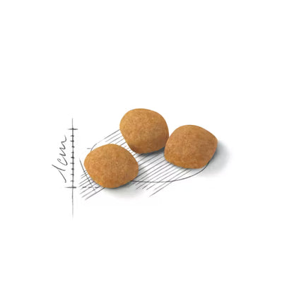 Protein Exigent sausas pašaras katei