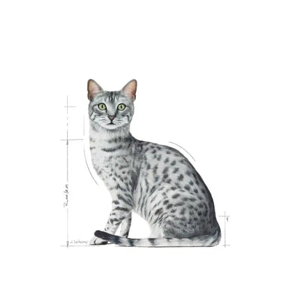 Indoor Sterilised Morsels in Gravy - Wet Food for Indoor Cats 12x85g