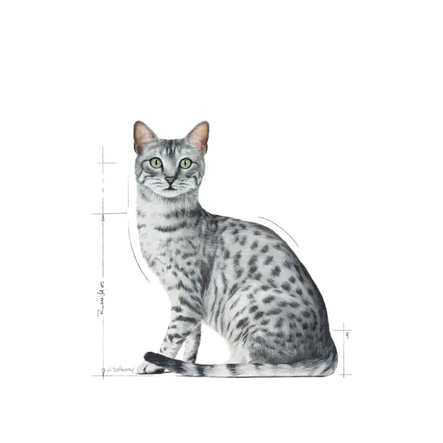 Indoor Sterilised Morsels in Jelly - Wet Food for Indoor Cats 12x85g