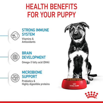 Royal Canin Maxi Puppy dry food - For large breed puppies