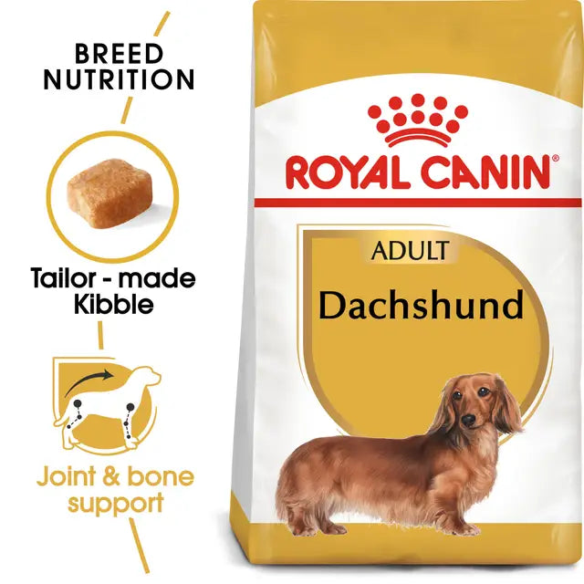 Dachshund Adult sausas pašaras šuniui