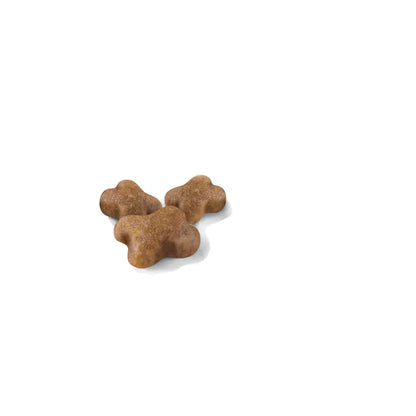 KITTEN dry cat food