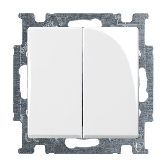 ABB 2CKA001012A2141 Basic55 2-Button Series Switch Cover Plate Alpine White