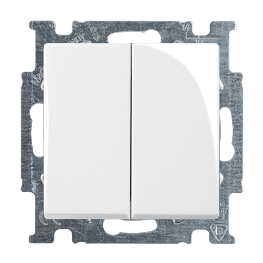 ABB 2CKA001012A2144 Basic55 2-polige Kippschalterabdeckung, Alpinweiß